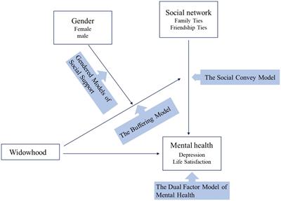 Widowhood, social networks, and mental health among Chinese older adults: The moderating effects of gender